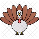 Pavo Icon