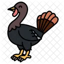 Pavo  Icono