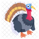 Pavo  Icon