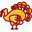 Pavo  Icon