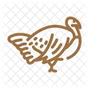 Pavo  Icono