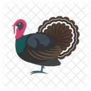 Pavo real  Icono