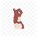 Paw Cat Thumb Icon