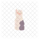 Paw Cat Animal Icon