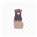 Paw Cat Cute Icon