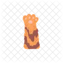 Paw Cat Gesture Icon