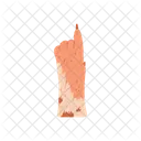 Paw Vector Dog Icon
