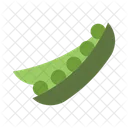 Pea Food Indian Icon