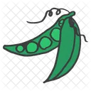 Pea Peas Green Icon