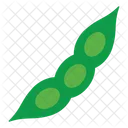 Pea Vegetable Healthy Icon