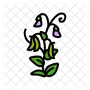 Pea Plant  Icon