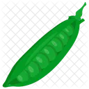 Pea Pod Peas Pod Icon