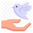 Peace Peace Bird Dove Icon