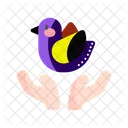 Peace Background Religion Icône