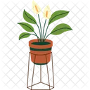 Peace Lily Icon