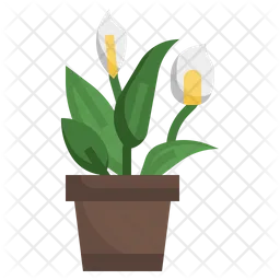 Peace Lily  Icon