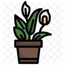 Peace Lily Flower Plant Icon