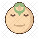 Peaceful Emoji Amazed Icon