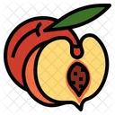 Peach Fruit Icon