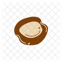 Peach  Icon