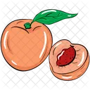 Peach Fruit Apricot Icon