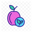 Organic Foods Peach Icon