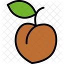 Peach Apricot Fruit Icon