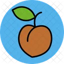 Peach Apricot Fruit Icon