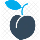 Peach Apricot Fruit Icon