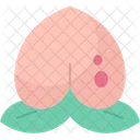 Peach  Icon