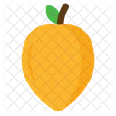 Peach Food Fresh Icon