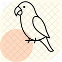 Peach Faced Lovebird Peachfacedlovebird Pet Icon