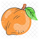 Peach Food Fruit Icon