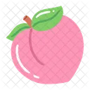 Spring Spring Nature Icon