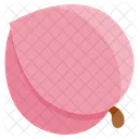 Berry Fruit Vitamin Icon