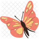 Butterfly Insect Wings Icon