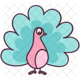 Peacock  Icon