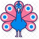 Peacock Icon