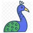 Peacock Bird Animal Icon