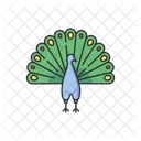 Peacock Peafowl Spread Icon