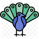 Peacock Bird Domestic Animal Icon