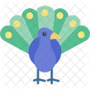 Peacock Bird Domestic Animal Icon