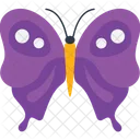 Peacock Butterfly  Icon