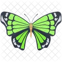 Peacock Wildlife Hexapod Icon