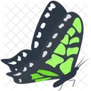 Peacock Wildlife Hexapod Icon