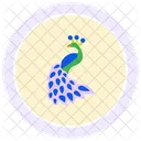 Peacock Bird Colorful Icon