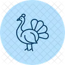 Peacock Bird Colorful Icon