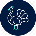 Peacock Bird Colorful Icon