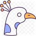 Peacock Peahen Pavo Cristatus Icon