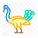 Peacock  Icône